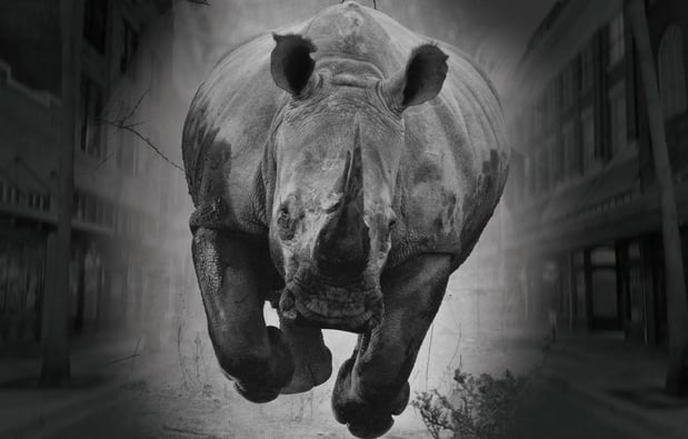 Images RHINO Lawyers