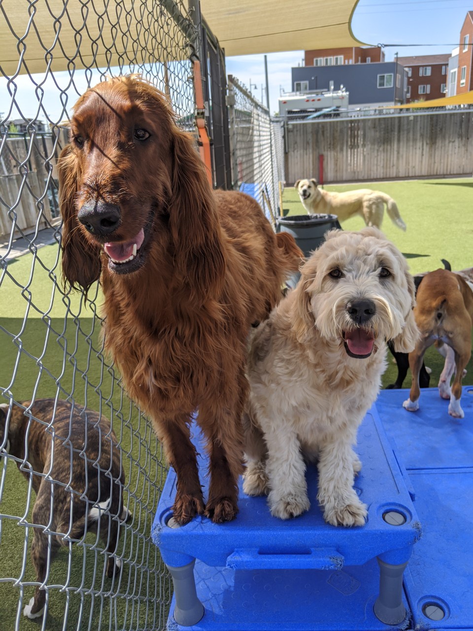 Daycare buddies!