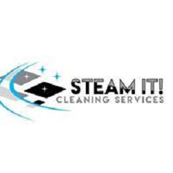 Steam It! Cleaning Services Logo