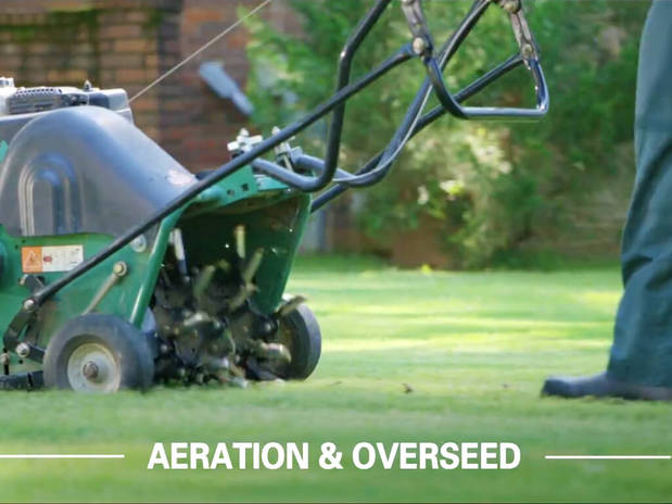 Images TruGreen Lawn Care