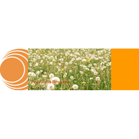 Praxis am Brunnen - Naturheilpraxis im Rheinthal Logo