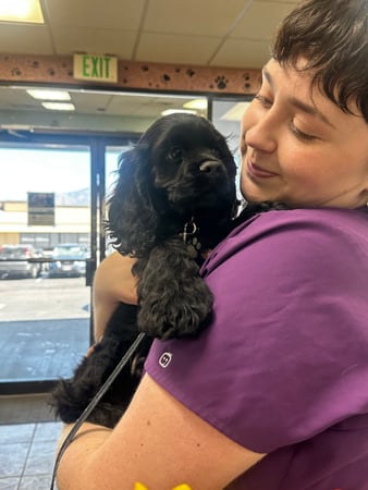 Images VCA All Pet Animal Hospital/Taylorsville