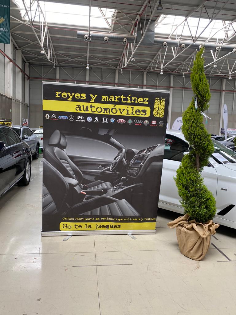 Images Reyes Y Martinez Automoviles