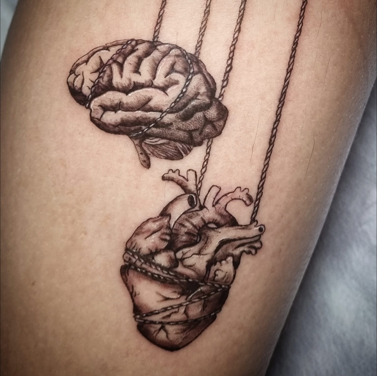 Images Noctaris Tattoo