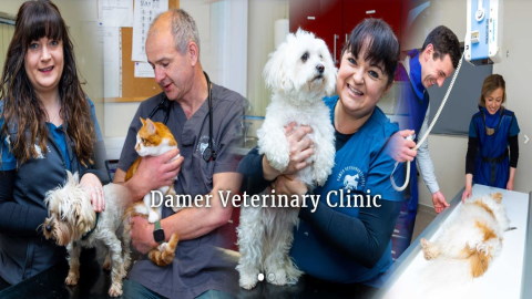 Damer Veterinary Clinic 3