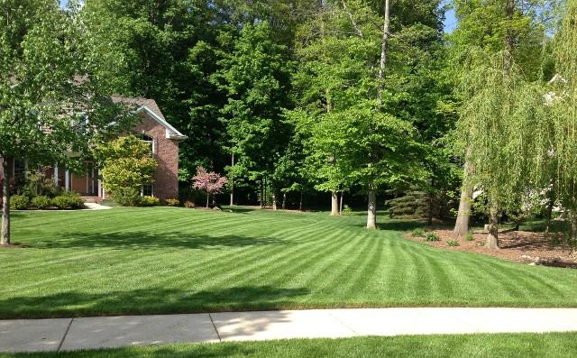 Greater Lansing Lawn Pros