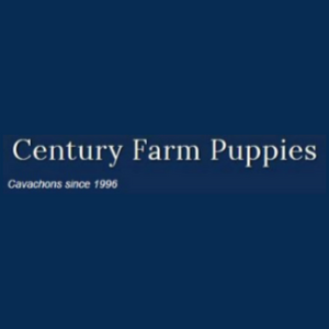 Century Farm Puppies Logo