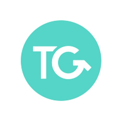 The Travel Group Logo
