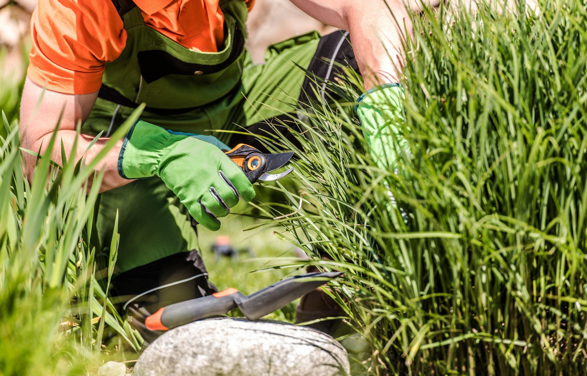 Bilder Helping Green - Gartenpflege & Landschaftsbau