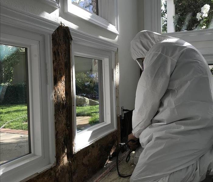 Mold remediation before repairs.