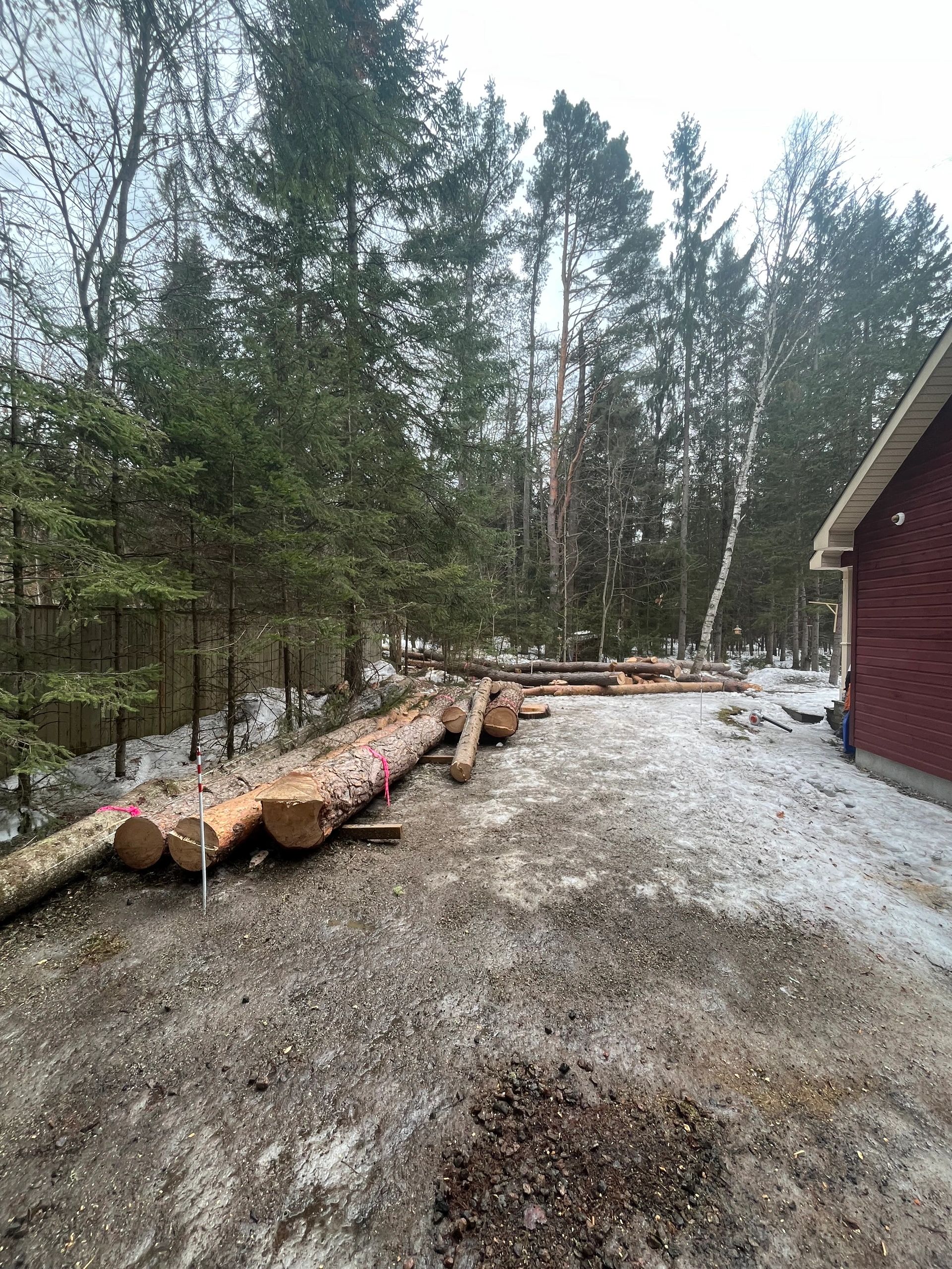 Images Élagage Frère d'Arbres