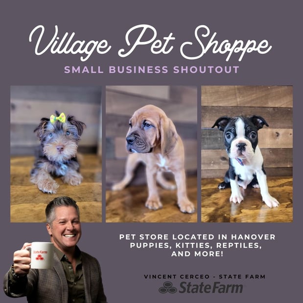 Images Vincent Cerceo - State Farm Insurance Agent