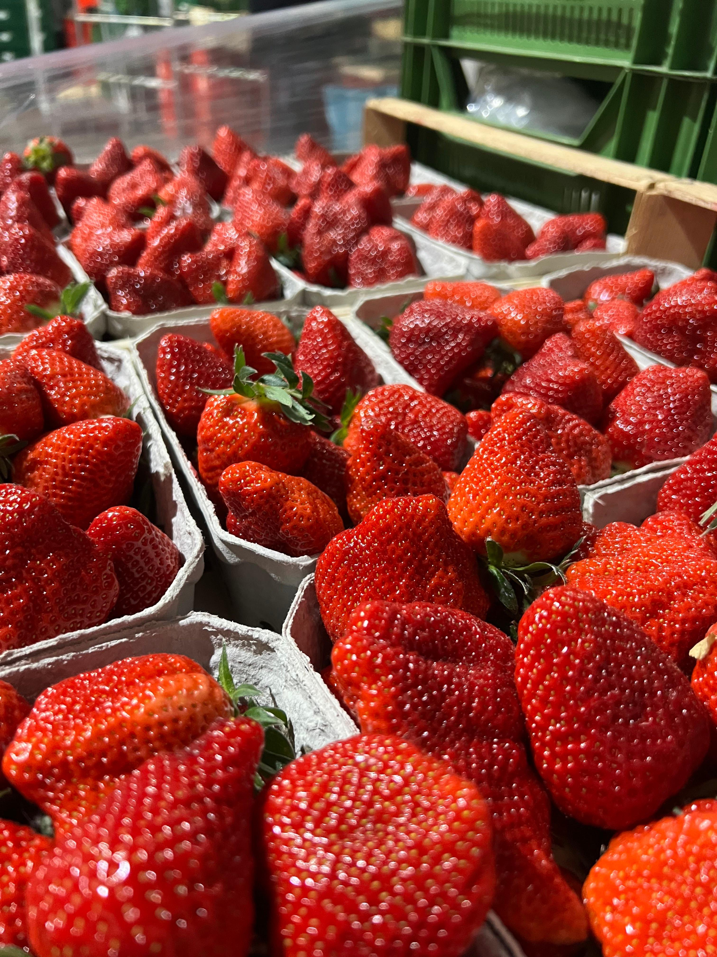 Better&Fresh Foodservice GmbH, Hertzstraße 4c in Rheinstetten