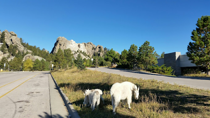 Images Black Hills Above and Beyond Tours LLC