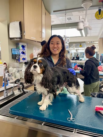 Images VCA West Los Angeles Animal Hospital