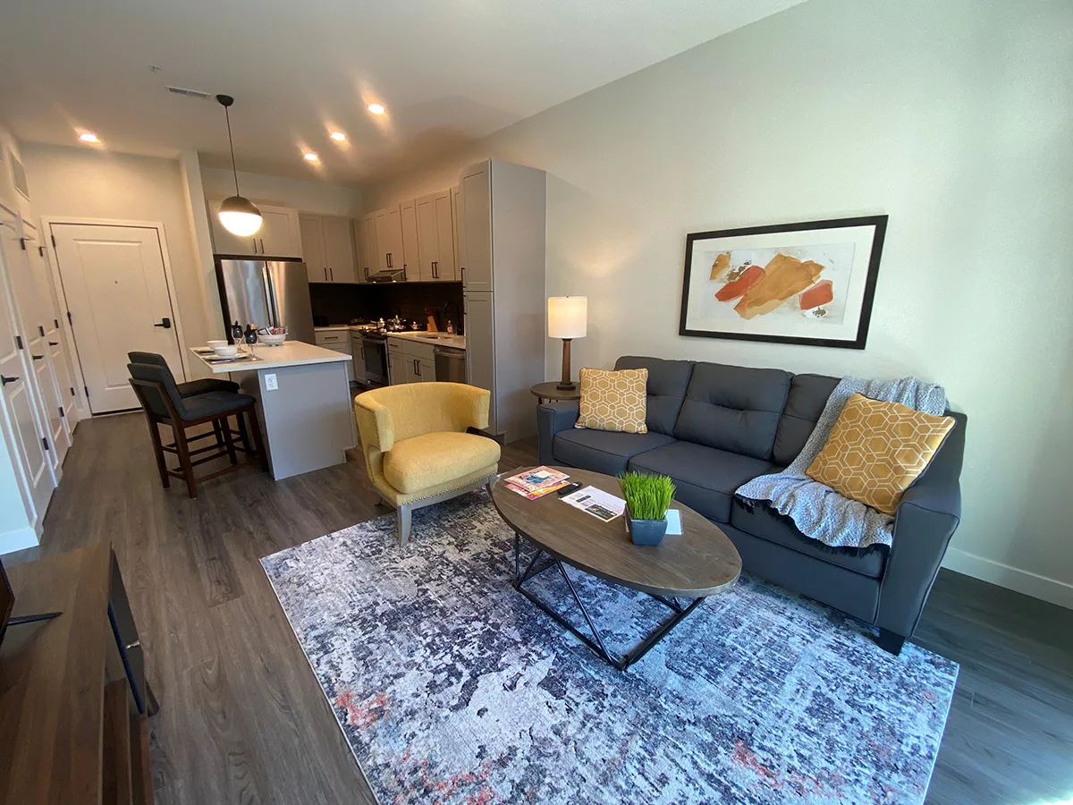 Living room and kitchen area