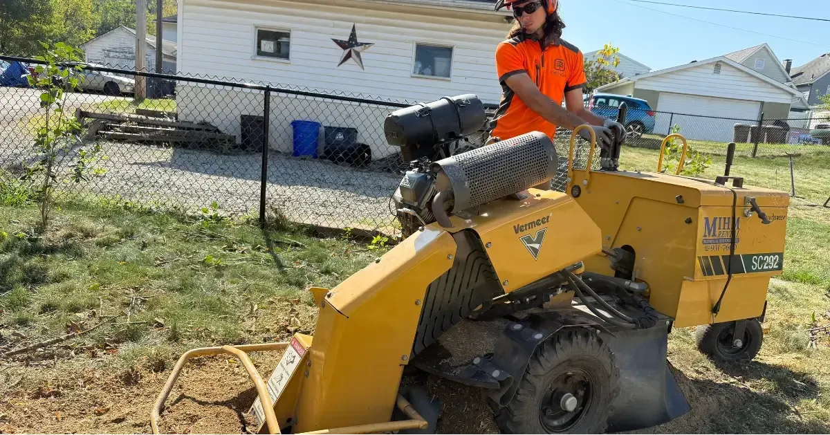 Stump Grinding & Removal in Pittsburgh, PA