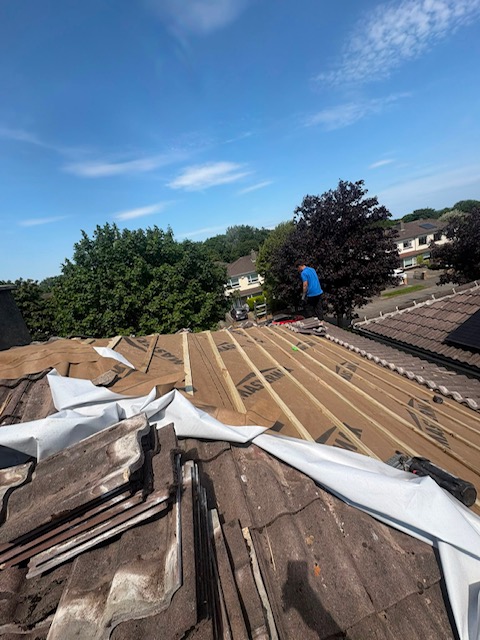 Pro Elite Roofing 96