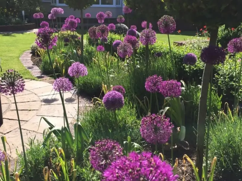 Images P & G Landscapes & Design