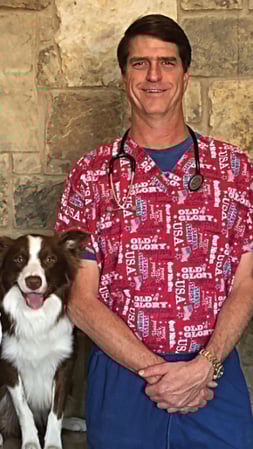 Images Bingle Veterinary Clinic