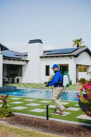 Images ACTION Termite & Pest Control