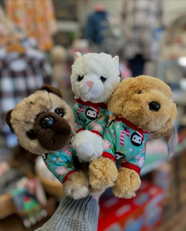 Images Toodleydoo Toys