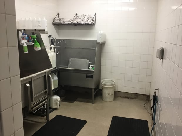 Images Petco Grooming