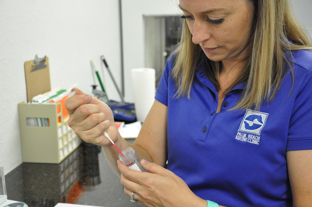 Images Palm Beach Equine Clinic