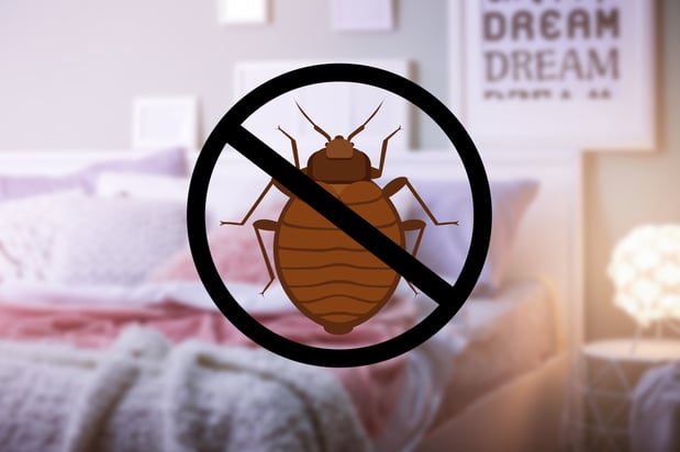 Images Victory Pest Solutions
