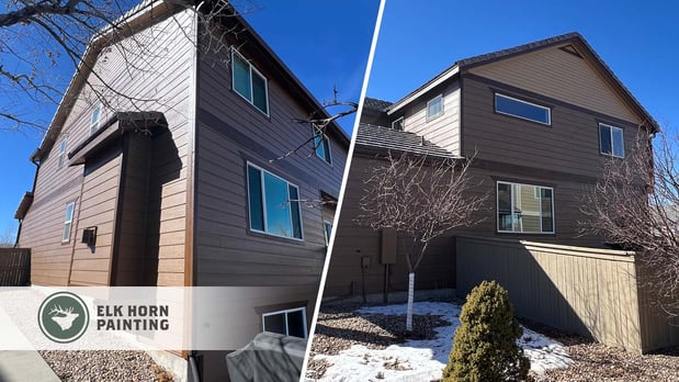 Images Elk Horn Painting - Denver