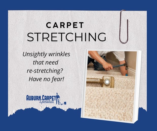 Images Auburn Carpet