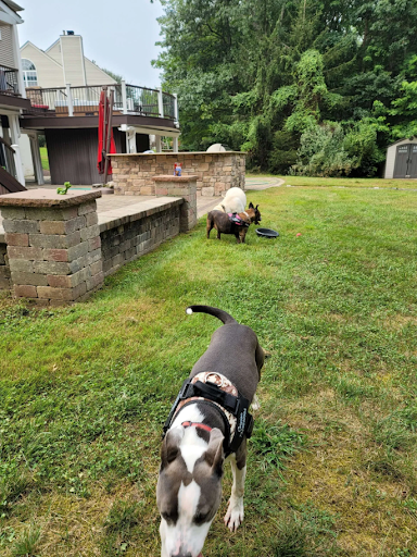 Images Lenny's Pet Care