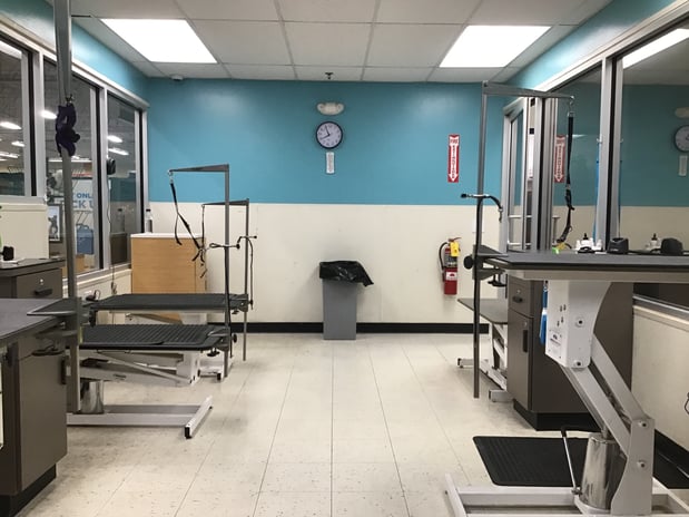 Images Petco Grooming