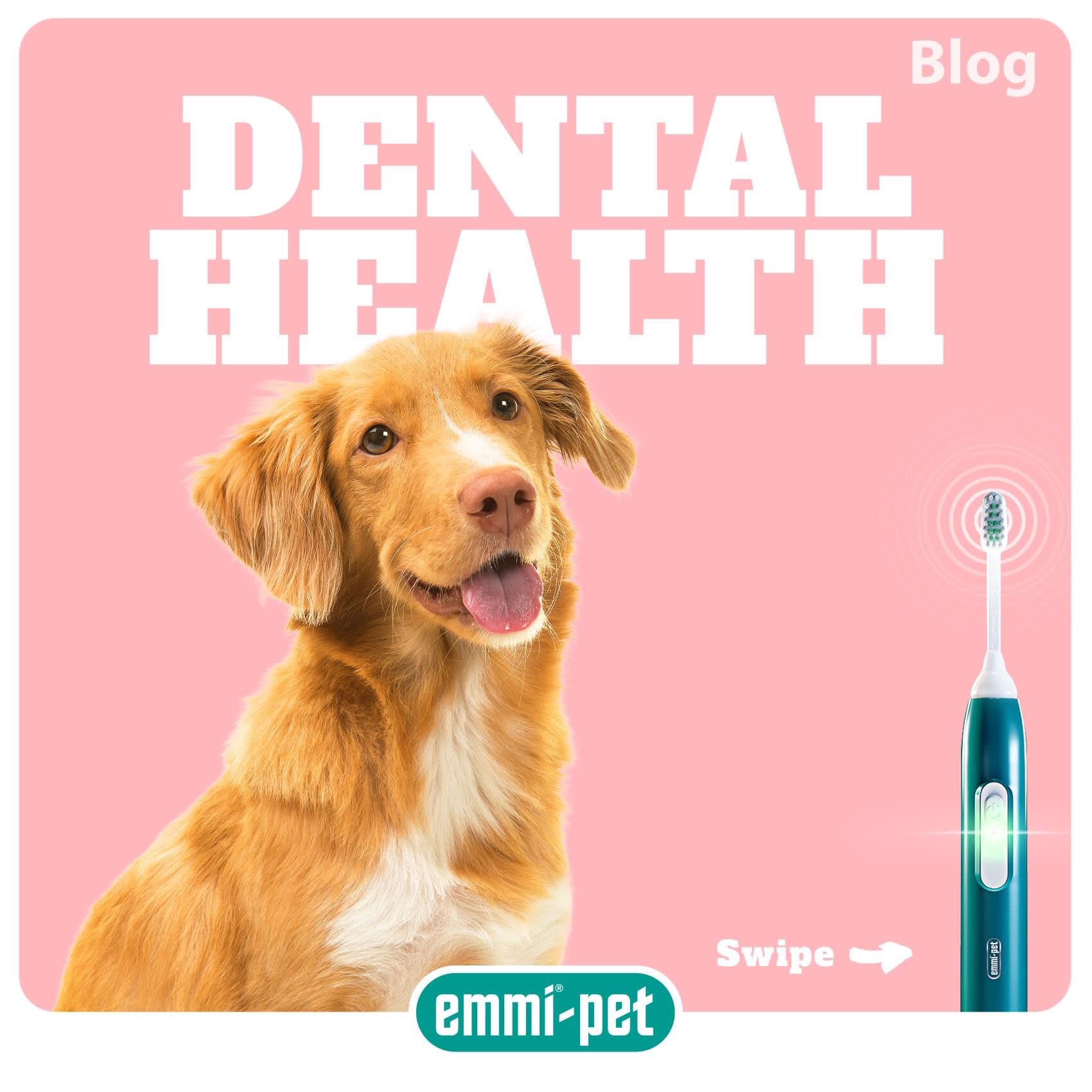 Images Emmipet - Ultrasonic Doggy Dentals by Diamonddax