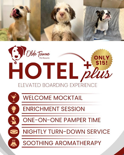 Pricing Brochure