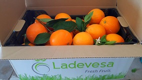 Images Ladevesa Fresh Fruit