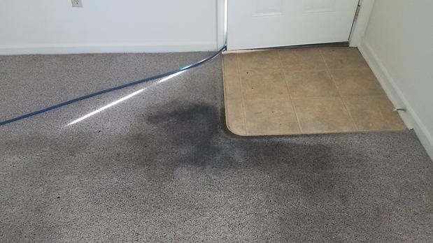 Images Carpet RX of Louisville