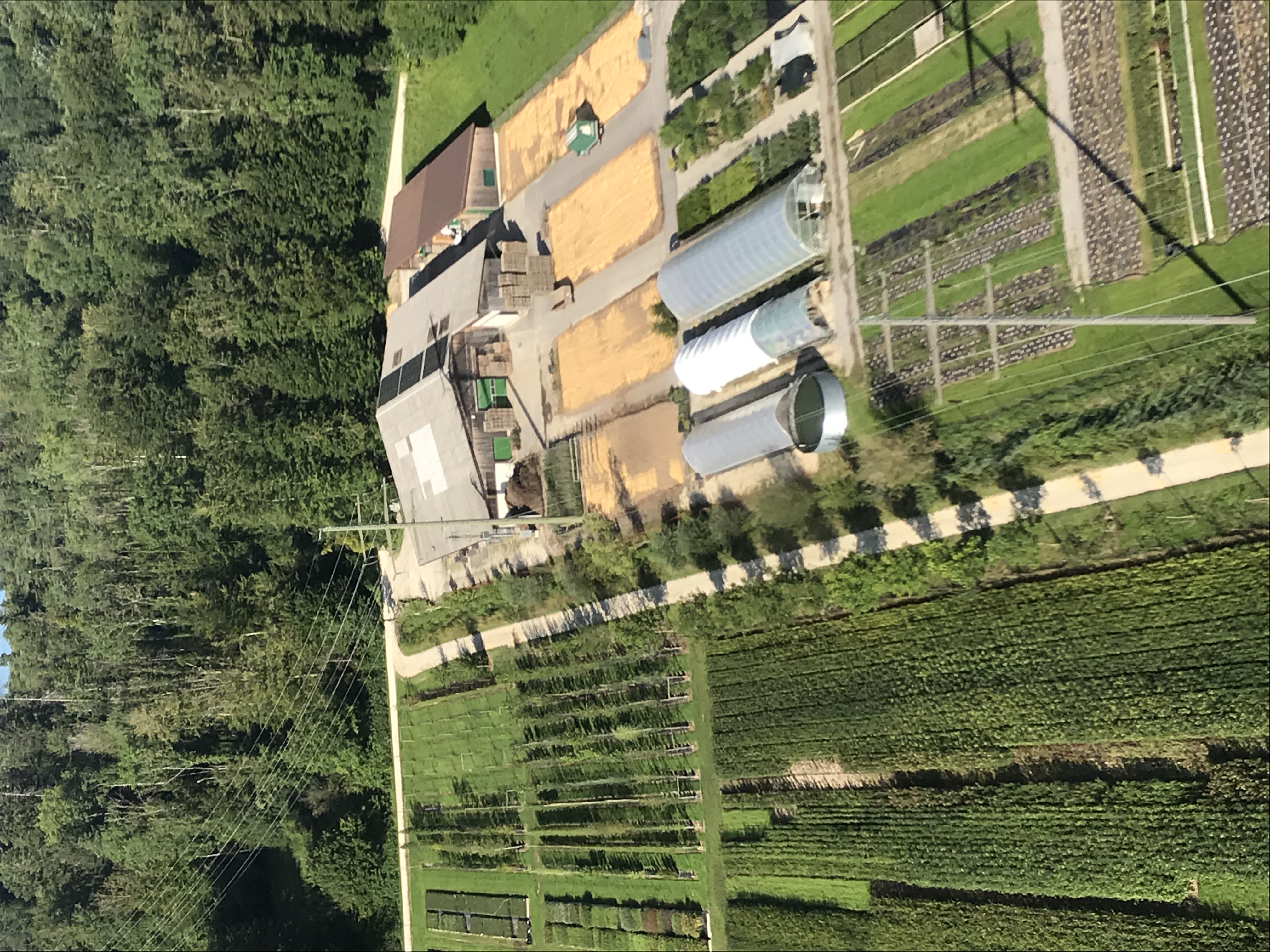 Emme Forstbaumschulen AG, Schachen 9 in Wiler b. Utzenstorf