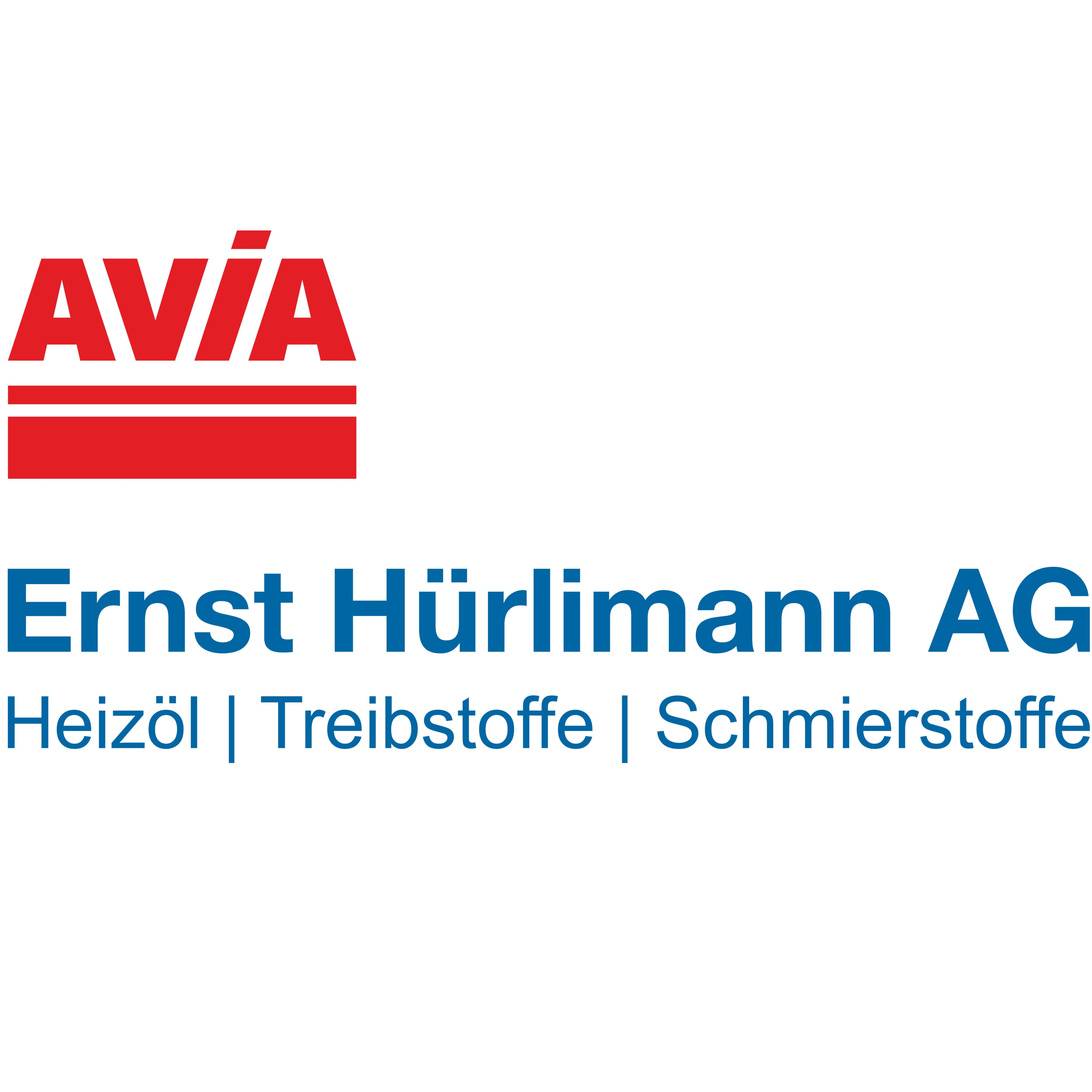 Ernst Hürlimann AG Logo