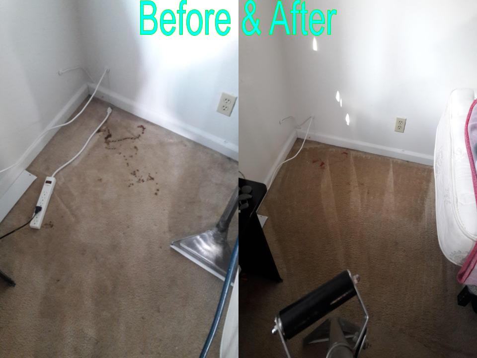 Able Body Carpet & Restoration Photo