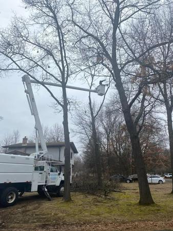 Images Maxon's Tree Service