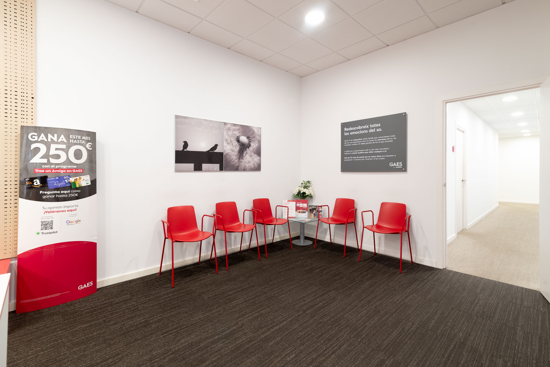 Galería en miniatura