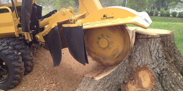 Images Cutting Edge Tree Service