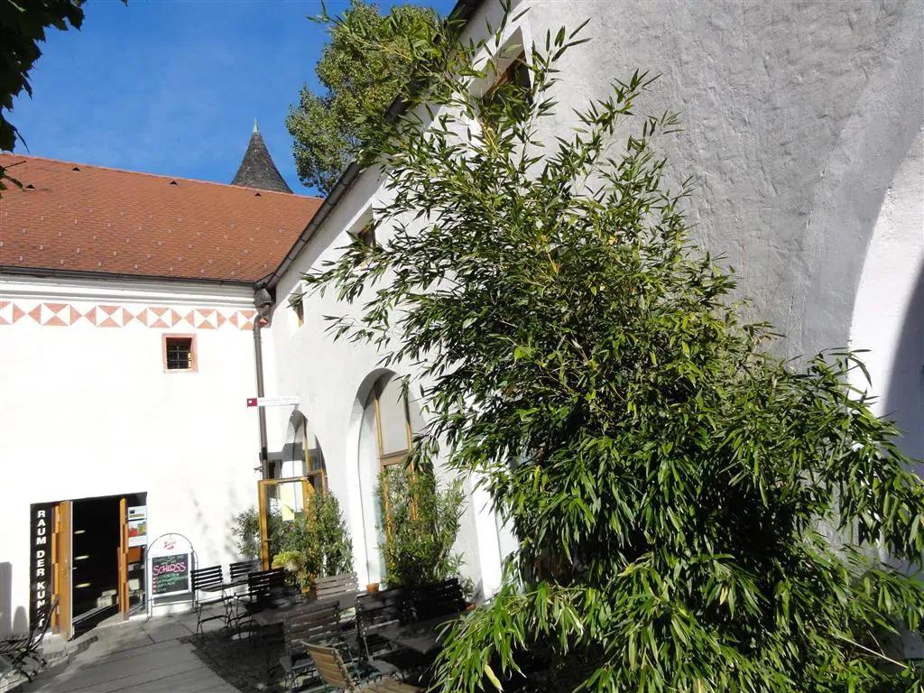 Bilder Schloss Traun Restaurant