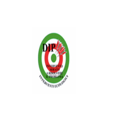 Dip Spurghi Logo