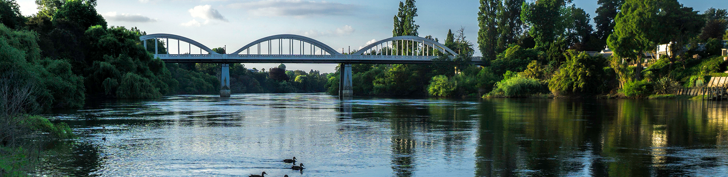 A lake surrounded by trees with ducks swimming across it and a scalloped bridge running through it.