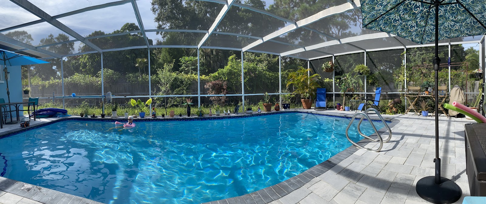 Screen-enclosed residential swimming pool with bright blue water, surrounding patio space, and tropical landscaping.