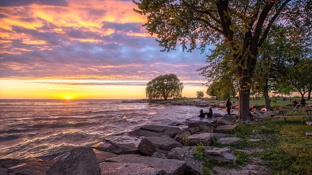 Images Next Page Mediation