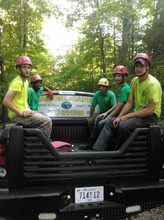 Images Arborscapes tree service