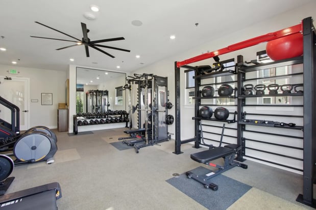 Images Arrive Longmont